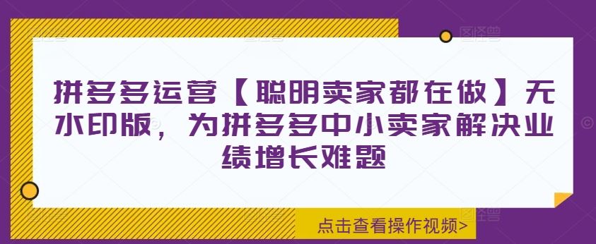 拼多多运营【聪明卖家都在做】无水印版，为拼多多中小卖家解决业绩增长难题-云长聊项目