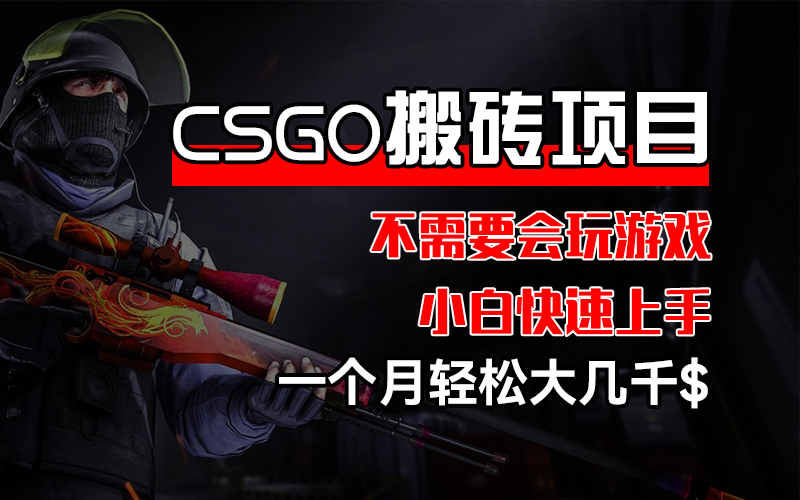 （12332期）CSGO 装备搬砖项目，操作简单，不需要会玩游戏，小白也能快速上手，一…-云长聊项目