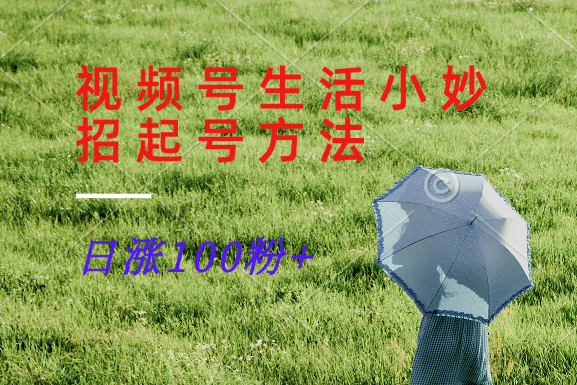 视频号生活小妙招分享赛道， 起号涨粉新方法，日涨100粉-云长聊项目