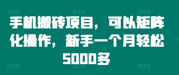 手机搬砖项目，可以矩阵化操作，新手一个月轻松5000多-云长聊项目
