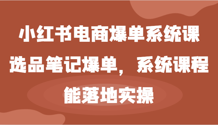 小红书电商爆单系统课-选品笔记爆单，系统课程，能落地实操-云长聊项目