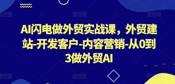 AI闪电做外贸实战课，​外贸建站-开发客户-内容营销-从0到3做外贸AI(更新)-云长聊项目