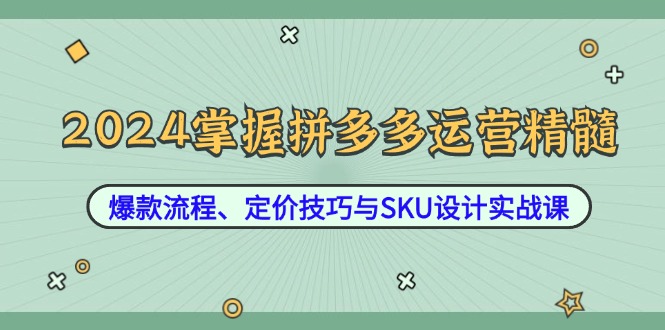 2024掌握拼多多运营精髓：爆款流程、定价技巧与SKU设计实战课-云长聊项目