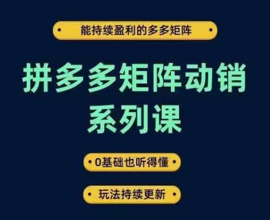 拼多多矩阵动销系列课，能持续盈利的多多矩阵，0基础也听得懂，玩法持续更新-云长聊项目