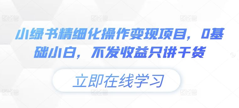 小绿书精细化操作变现项目，0基础小白，不发收益只讲干货-云长聊项目