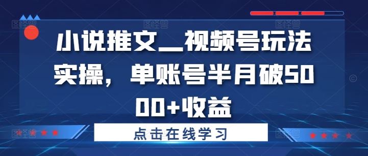 小说推文—视频号玩法实操，单账号半月破5000+收益-云长聊项目