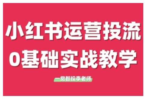 小红书运营投流，小红书广告投放从0到1的实战课，学完即可开始投放-云长聊项目