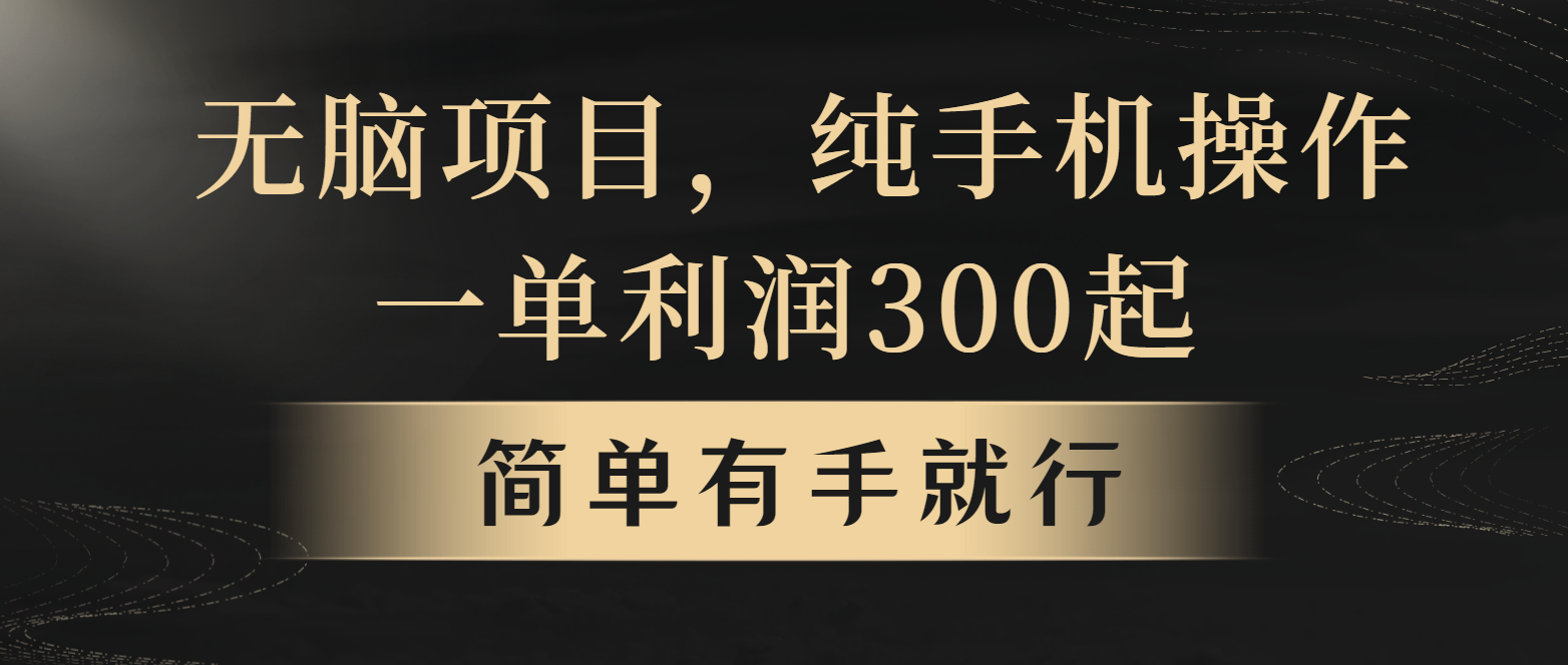 全网首发，翻身项目，年前最赚钱项目之一。收益翻倍！-云长聊项目