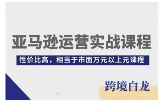 亚马逊运营实战课程，亚马逊从入门到精通，性价比高，相当于市面万元以上元课程-云长聊项目