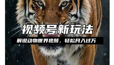 利用动物世界解说视频，赚分成计划收益，轻松月入过W，操作简单【揭秘】-云长聊项目