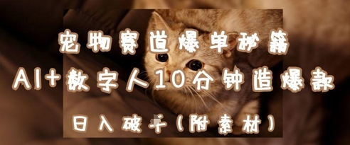 宠物赛道爆单秘籍：AI+数字人10分钟造爆款，日入1k-云长聊项目