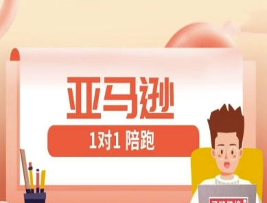 亚马逊1对1陪跑课(FBA/FBM精铺)跨境亚马逊教程-云长聊项目