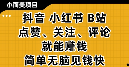 小而美的项目，抖音小红书B站视频点赞、关注、评论就能挣钱，简单无脑立见收益，妥妥的零撸项目【揭秘】-云长聊项目
