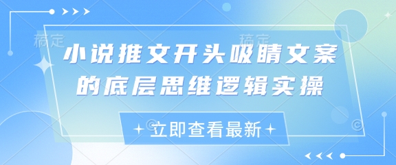 小说推文开头吸睛文案的底层思维逻辑实操-云长聊项目