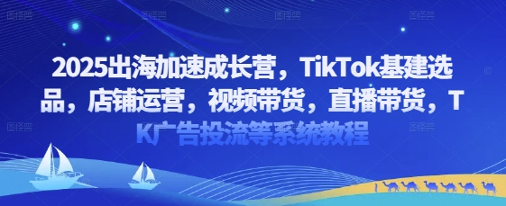 2025出海加速成长营，TikTok基建选品，店铺运营，视频带货，直播带货，TK广告投流等系统教程-云长聊项目
