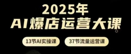 2025年AI爆店运营大课，13节AI实操课+37节流量运营课-云长聊项目