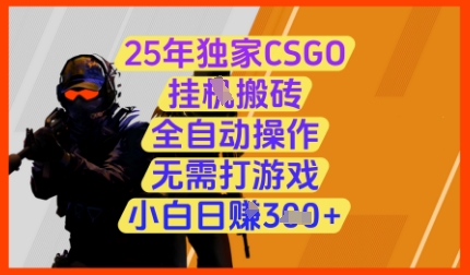 25年独家CSGO挂G搬砖，全自动操作，无需打游戏，小白日入3张+【揭秘】-云长聊项目