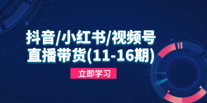 抖音/小红书/视频号/直播带货(11-16期-云长聊项目