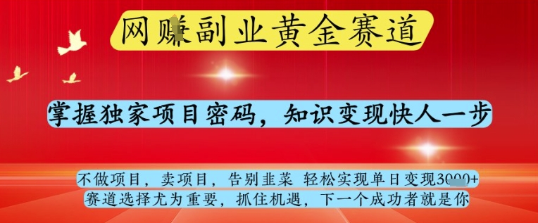 网创副业黄全赛道，掌握独家项目密码，知识变现快人一步，告别韭菜轻松实现单日变现1k+【揭秘】-云长聊项目