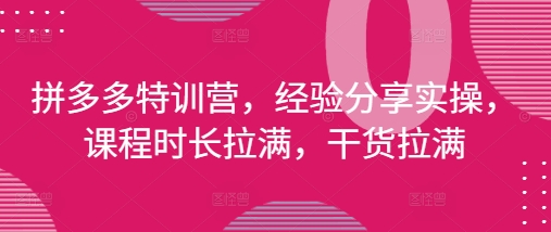 拼多多特训营，经验分享实操，课程时长拉满，干货拉满(更新25年4月)-云长聊项目