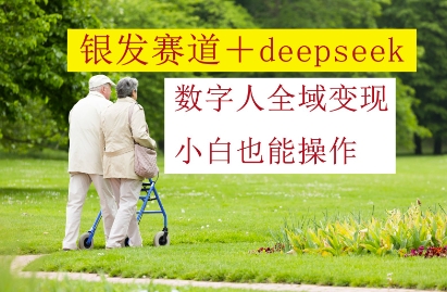 银发赛道+deepseek数字人全域变现，小白也能操作-云长聊项目
