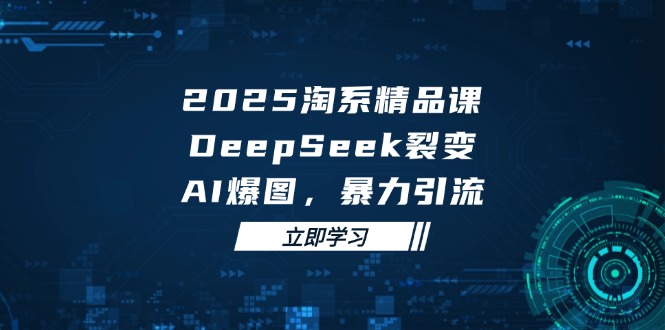 2025 淘系精品课，DeepSeek 裂变，AI 爆图，暴力引流-云长聊项目