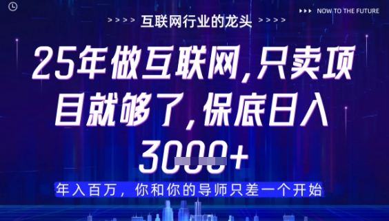 什么！25年你还在找项目做？风口早就变了，卖项目才是稳挣不赔【揭秘】-云长聊项目