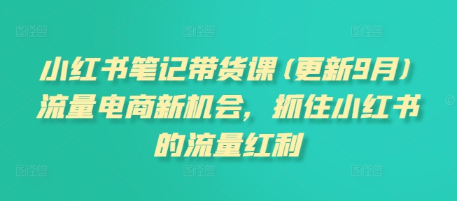 小红书笔记带货课(更新25年4月)流量电商新机会，抓住小红书的流量红利-云长聊项目