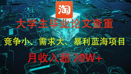 大学生毕业论文查重，暴利蓝海项目，月收入过1W+-云长聊项目