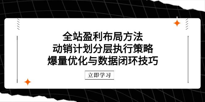 全站盈利布局方法：动销计划分层执行策略，爆量优化与数据闭环技巧-云长聊项目