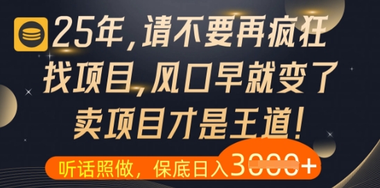 什么？25年你还在疯狂找项目做，醒醒吧，看完这些你全都懂了【揭秘】-云长聊项目