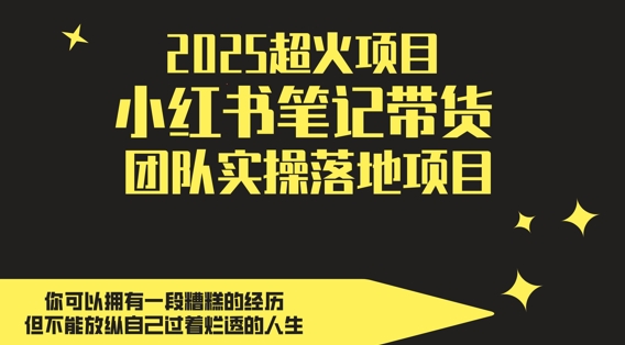 2025超火项目，副业最佳选择，小红书笔记带货团队实操落地项目，，轻松日入5张-云长聊项目