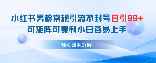 小红书男粉常规引流不封号日引99+变现简单 可矩阵可复制小白容易上手-云长聊项目
