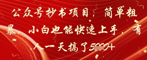 公众号抄书项目，简单粗暴，小白也能快速上手，有人一天搞了1k+-云长聊项目