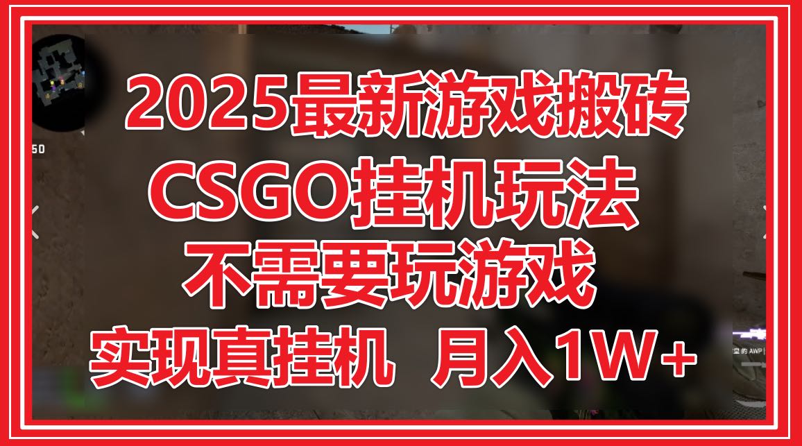 2025最新游戏搬砖，CSGO挂机，不需要玩游戏，实现真挂机，月入1W+-云长聊项目