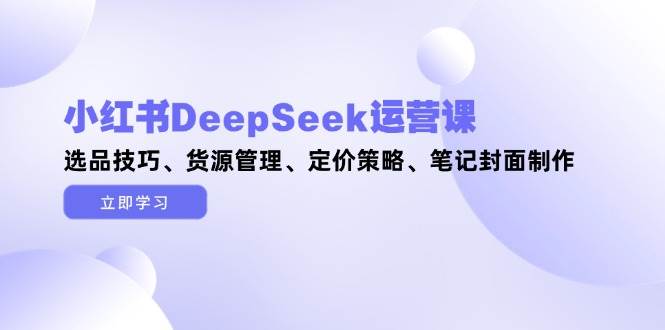 小红书DeepSeek运营课，选品技巧、货源管理、定价策略、笔记封面制作-云长聊项目