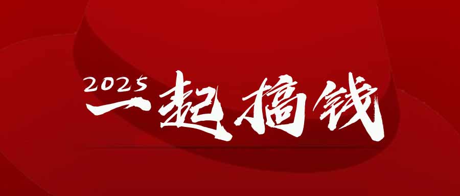 2025年，请“不择手段”去搞钱!-云长聊项目