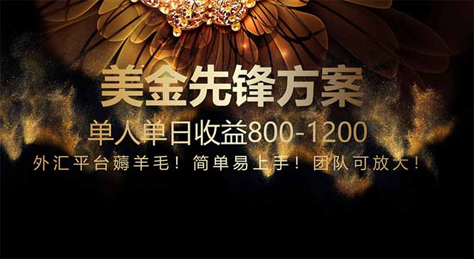 免费技术！小众赛道！一年布局抵三年努力，每日800+-云长聊项目