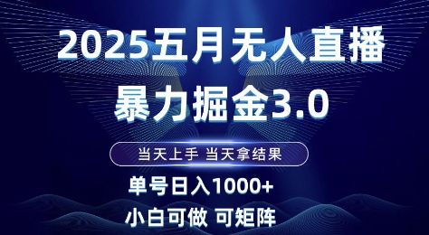 2025五月无人直播暴力掘金3.0，当天上手，当天拿结果，单号日入1k+小白可做可矩阵【揭秘】-云长聊项目
