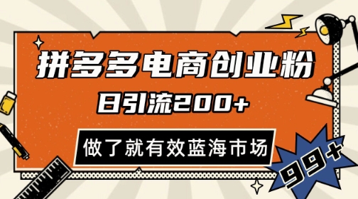 拼多多引流电商创业粉，日引200+，可矩阵放大，做了就有效【揭秘】-云长聊项目