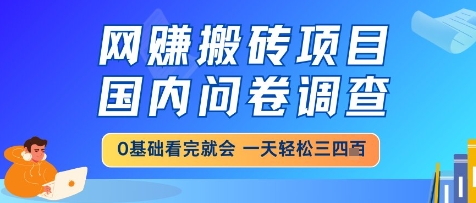 网创搬砖项目，国内问卷调查，小白轻松上手，一天三四张的也不难，干就完了【揭秘】-云长聊项目