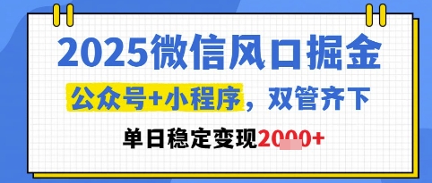 2025微信风口掘金，公众号+小程序双管齐下，单日稳定变现1k+【揭秘】-云长聊项目