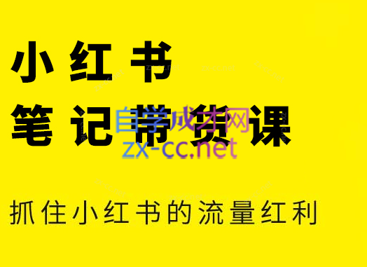 张宾·小红书笔记带货课(更新5月)-云长聊项目