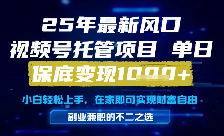 25年最新风口，视频号托管项目，单日保底变现1k+，手把手教学【揭秘】-云长聊项目