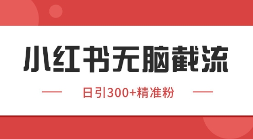 小红书截流同行客源，独家野路子获客玩法 日引200+暴力获客【揭秘】-云长聊项目