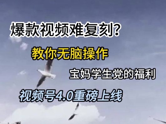 视频号4.0重磅上线，爆款视频难复刻？教你无脑操作宝妈学生党的福利【揭秘】-云长聊项目