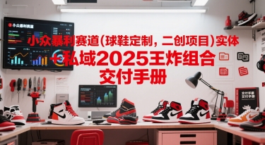 小众暴利赛道(球鞋定制，二创项目)实体+私域2025王炸组合  交付手册-云长聊项目