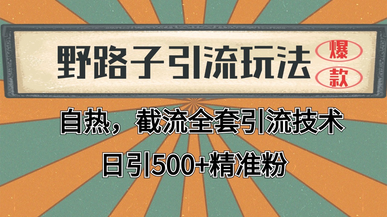 2024首发野路子引流玩法截流自热全平台打法，全自动引流【日引2000+精准客户】-云长聊项目