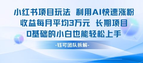 适合小白操作的小红书新项目，利用AI快速涨粉，收益每月平均1W+-云长聊项目