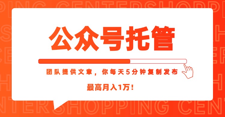 【公众号托管 】我提供文章，你每天５分钟复制发布，最高月入1W-云长聊项目